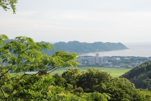 夏