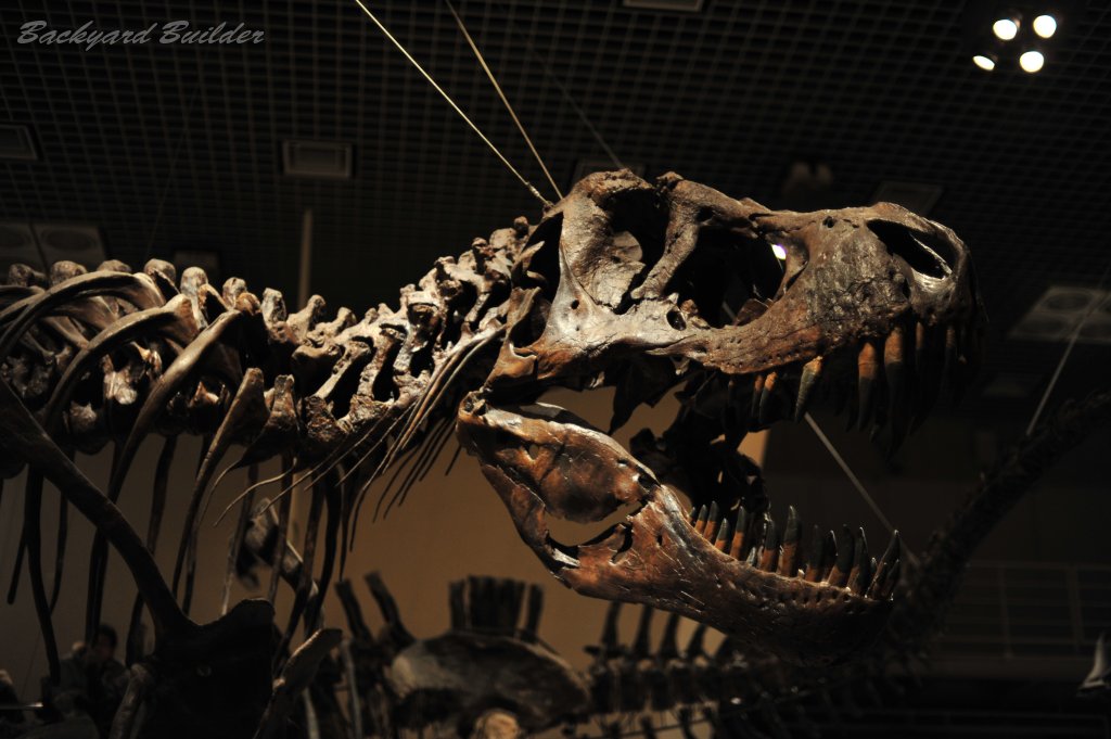 国立科学博物館の恐竜