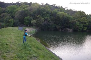 キャスティング