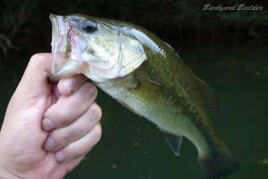 27cm