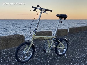 Folding Bike