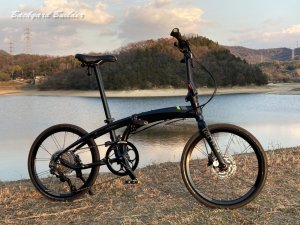 Tern Verge P10